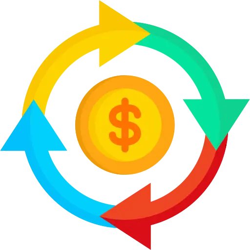 Cashflow and Management Accounts